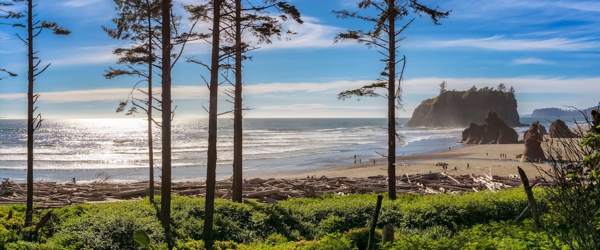 Ruby Beach landscape with some silhouetted conifers in the foreground on a sunny day, Olympic National Park, Washington state, USA.