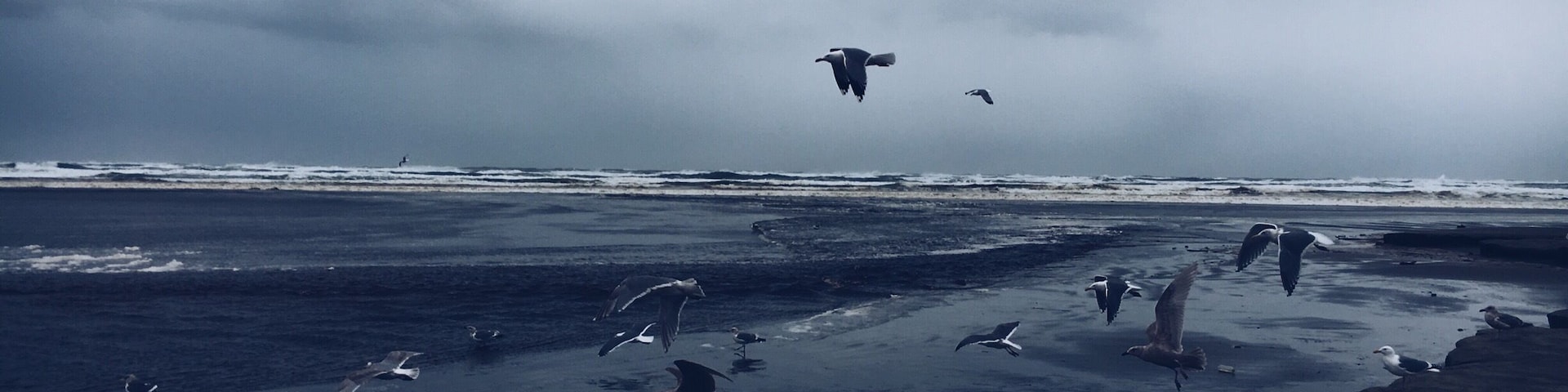 Deserted beach