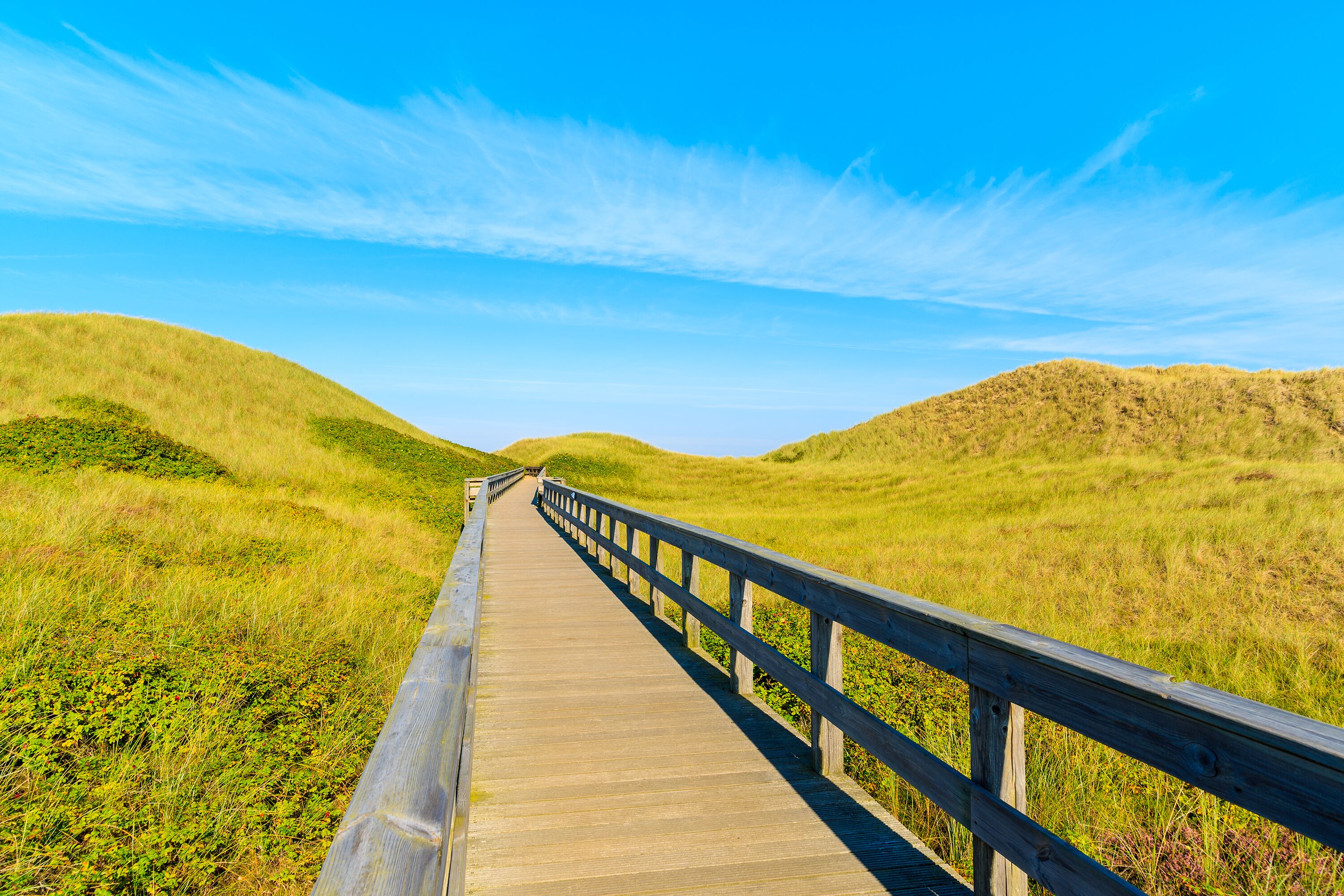 Wooden footbridge from sand dune to beautiful beach near Westerland village, Sylt island, Germany; Shutterstock ID 618109028; purchase_order: SP-1269 HA 2018 Batch 1; Order: ; client: ; other: