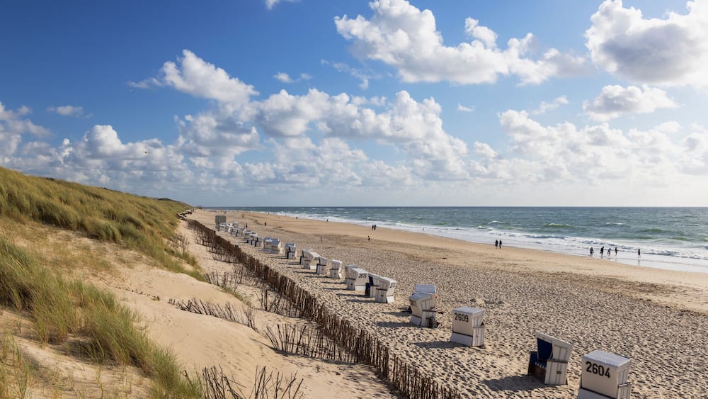 A beach with dunes, a row of beach huts, and the ocean.