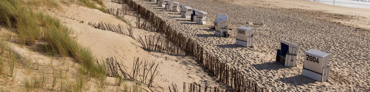 A beach with dunes, a row of beach huts, and the ocean.