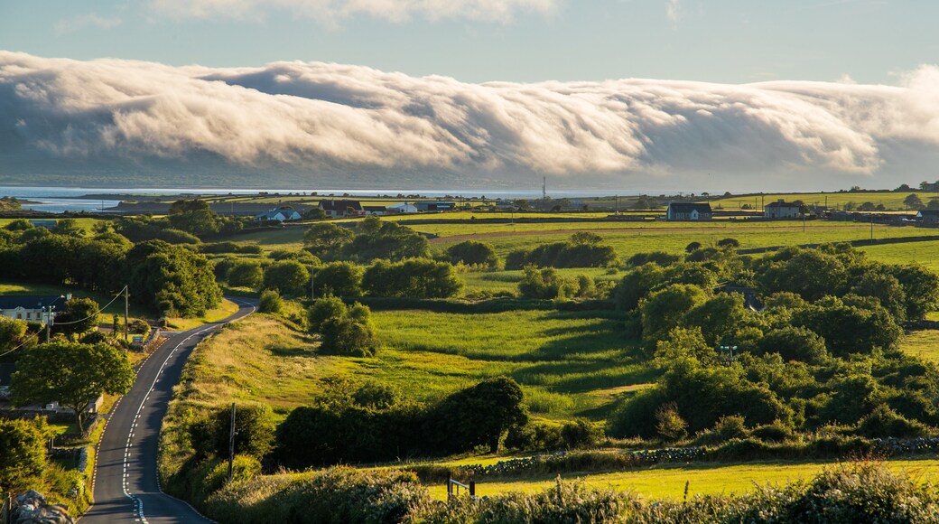 Galway which includes landscape views, land animals and a sunset
