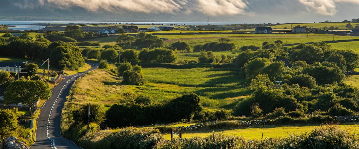 Galway which includes landscape views, land animals and a sunset