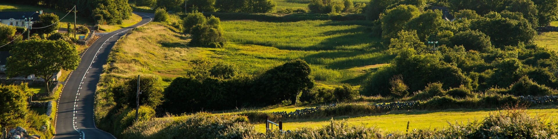 Galway which includes landscape views, land animals and a sunset