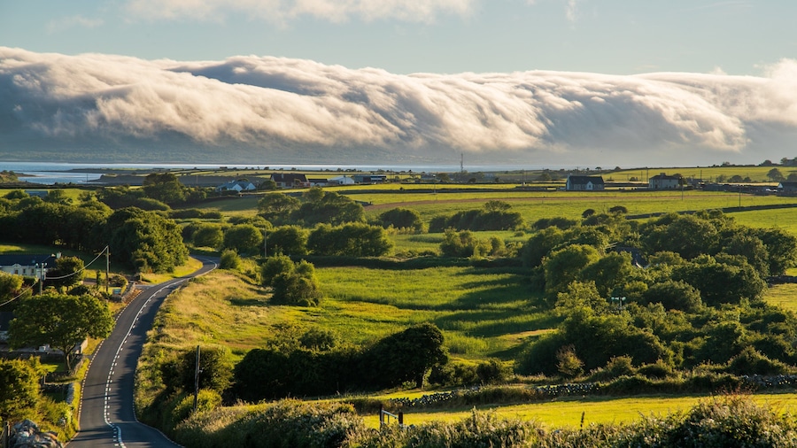 Galway which includes landscape views, land animals and a sunset