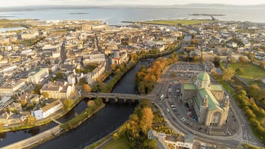 A river flowing through a city with historic buildings and a prominent church with a green roof.