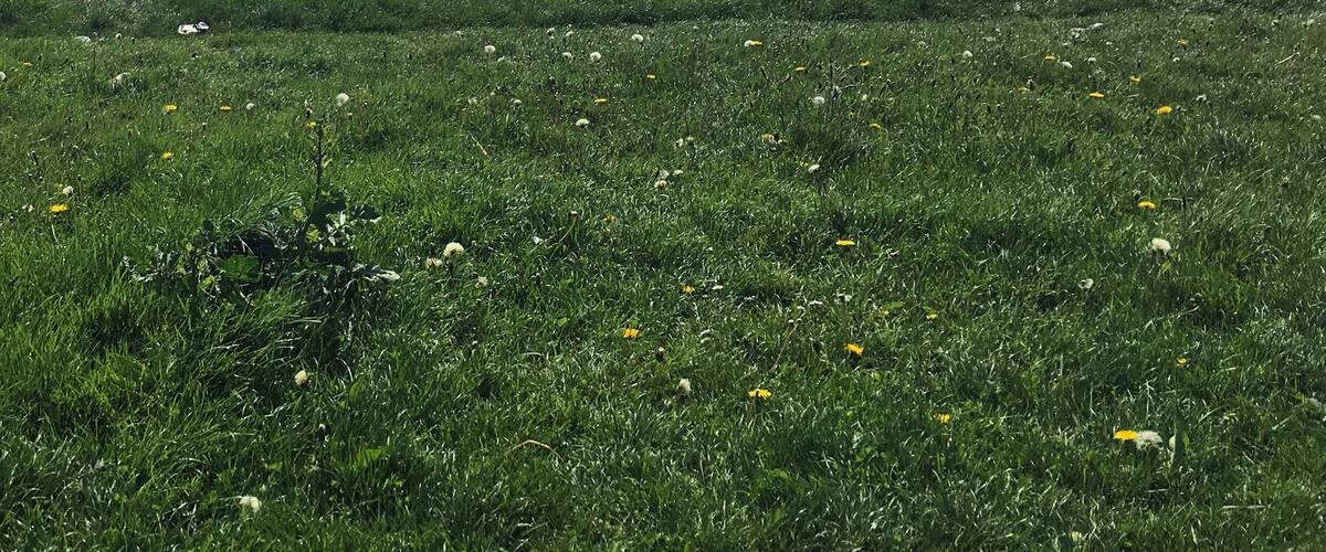 Most tourists don't seem to walk that bit further to Galway Bay. The views are worth it!