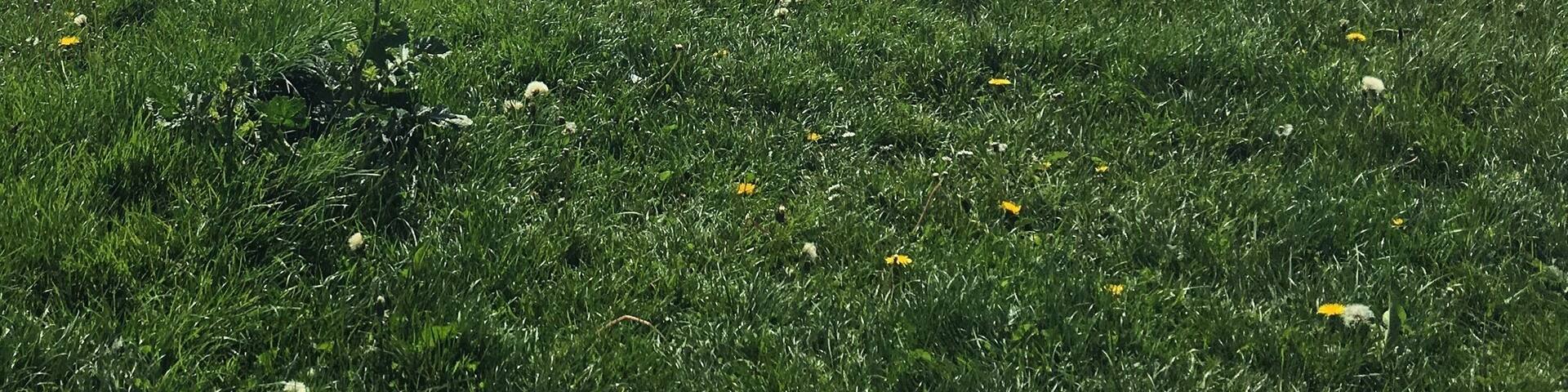 Most tourists don't seem to walk that bit further to Galway Bay. The views are worth it!