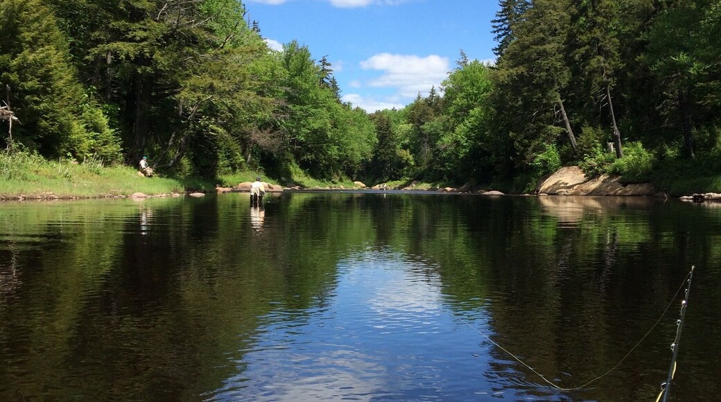 Fishing the Little Moose River
