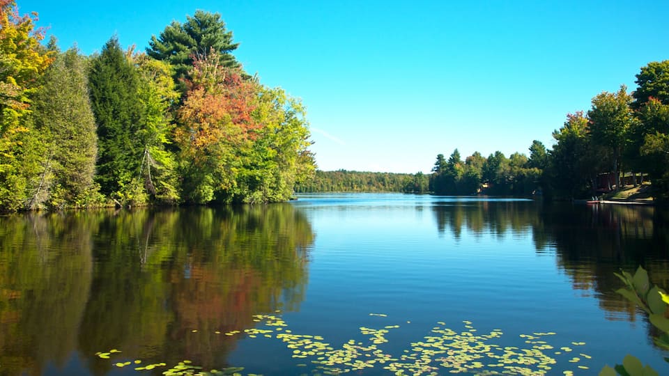 A calm lake surrounded by autumn-colored trees and a clear blue sky.