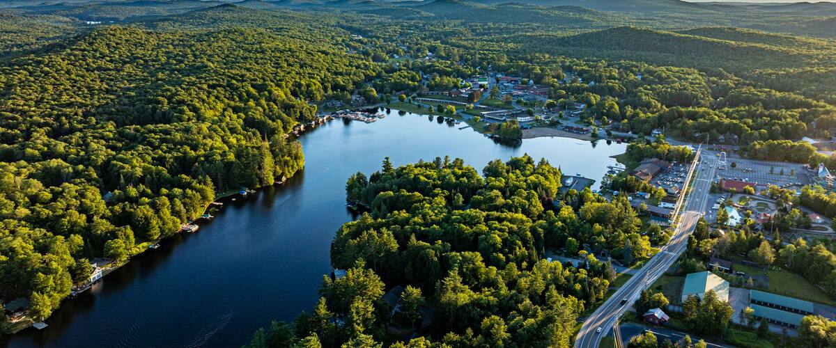 A lake surrounded by dense forest, a small town with buildings, and a bridge connecting the town to the mainland.