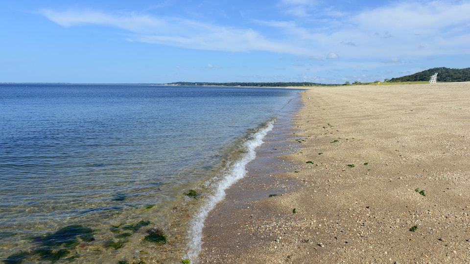 A beach with clear water, a sandy shore, and a distant hill.