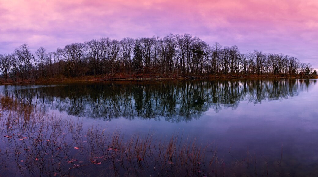 ์ฌ๋ ๊ทธ๋ฆฐ์์น