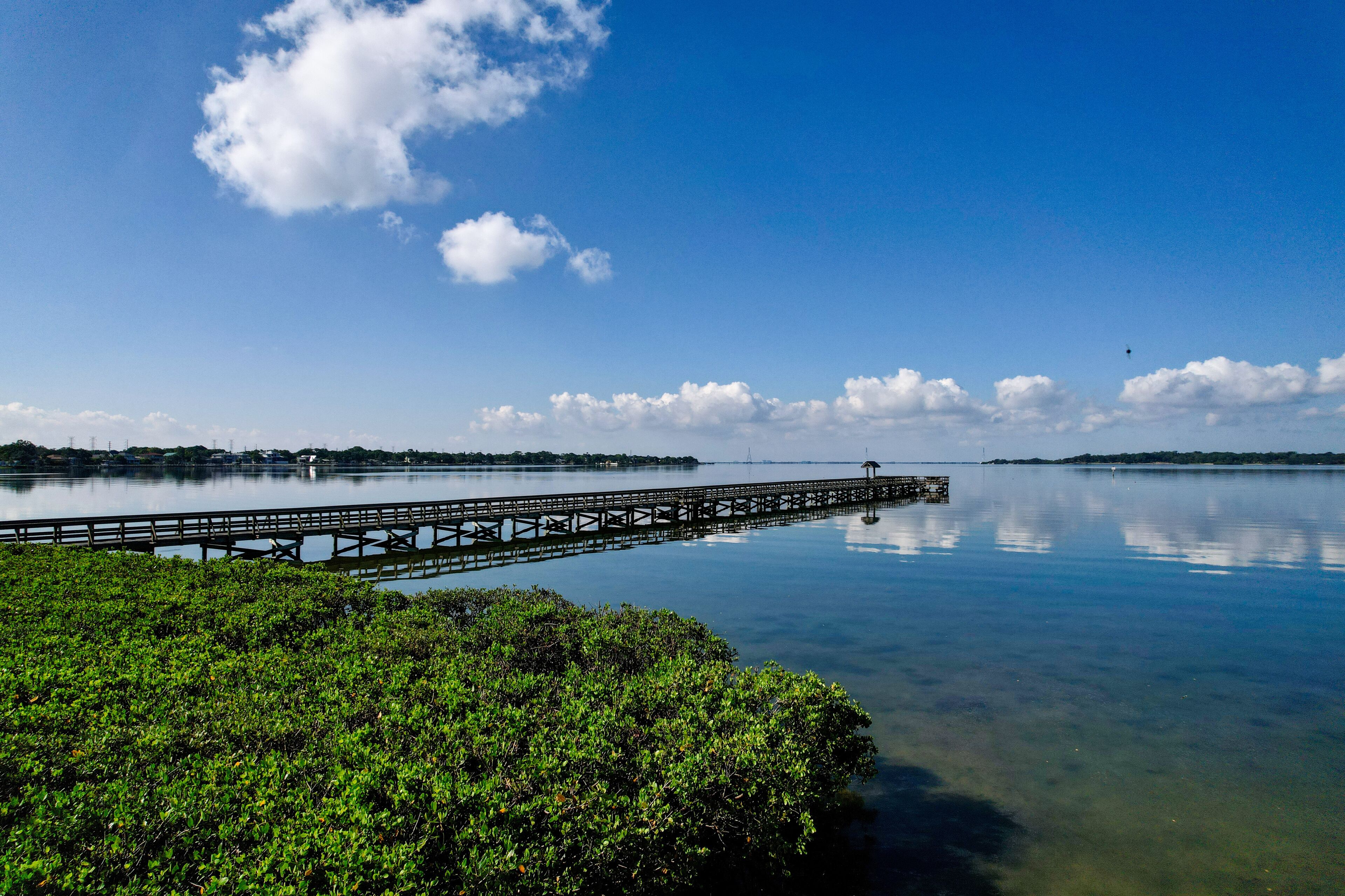 A drone photo of R.E. Olds city park of the living shoreline in Tampa Bay, Florida.
