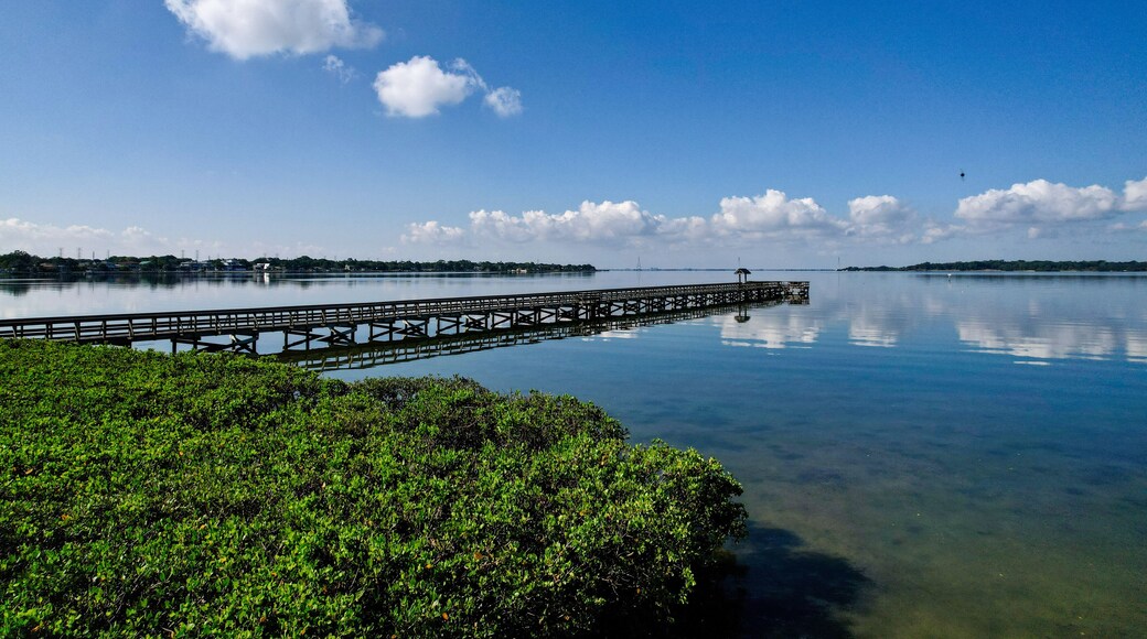 A drone photo of R.E. Olds city park of the living shoreline in Tampa Bay, Florida.