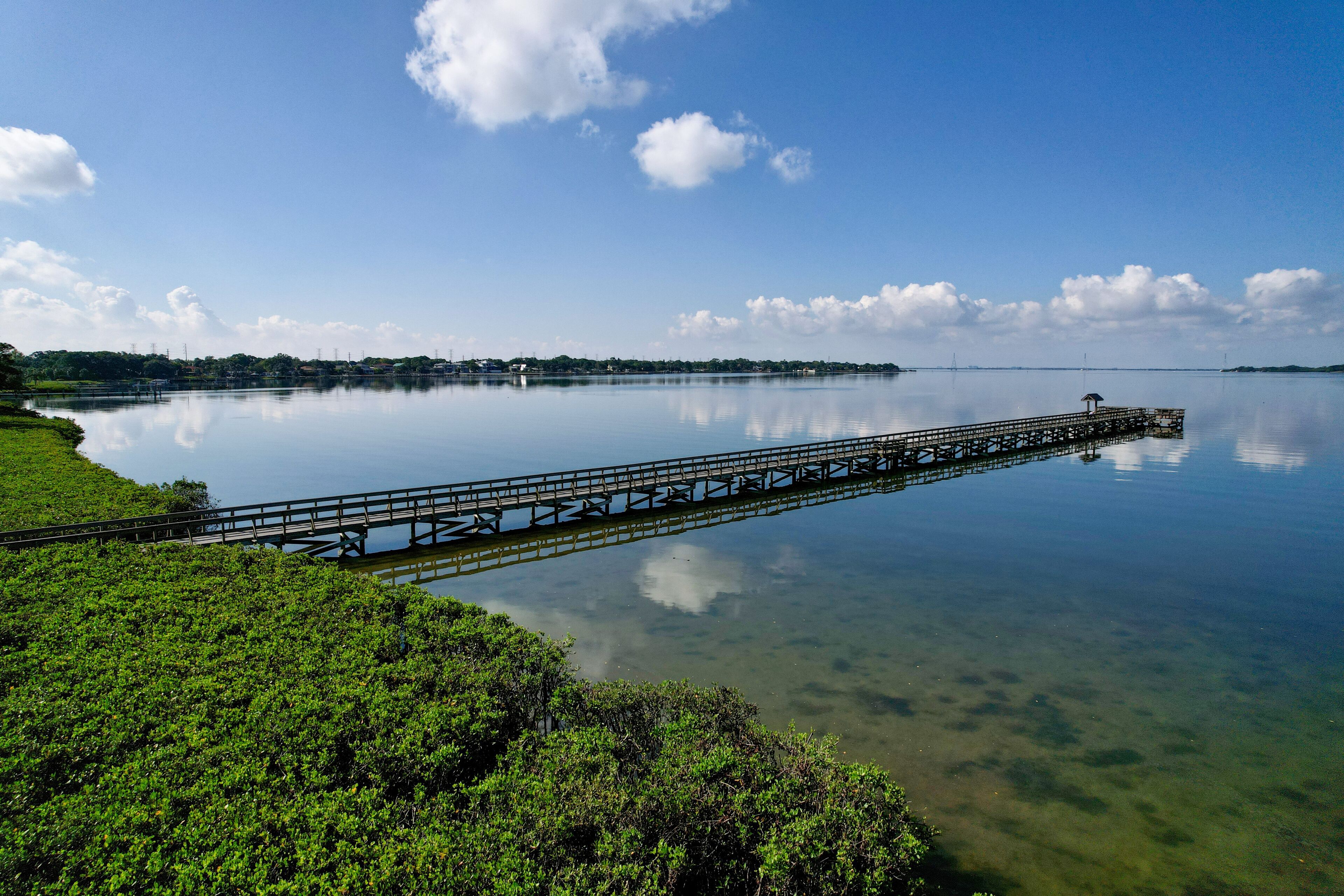 A drone photo of fishing pier in Tampa Bay, Florida. An aerial view of the natural beauty of a city park.