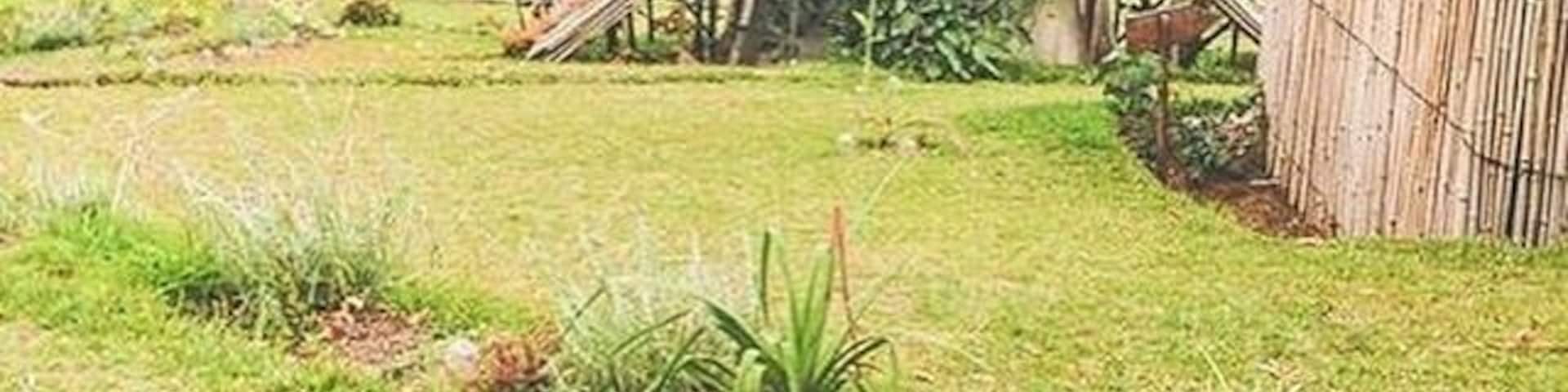 The most perfect setting in this gorgeous and rustic eco lodge overlooking the Lake Kivu. This lodge respects local traditions and benefits the community. They have safari tents constructed with local materials, solar panels, water harvest, composting toilets and change towels only on request. I did not want to leave, ever! I want to visit again during their monsoon season. 
#rwanda #lakekivu #gisenyi