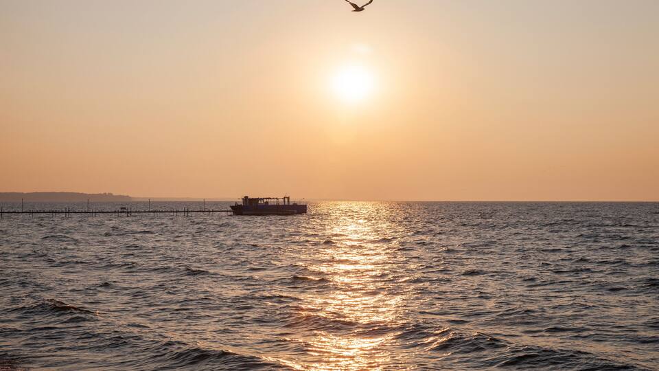 A sunset over a calm sea with a boat and a bird in flight.