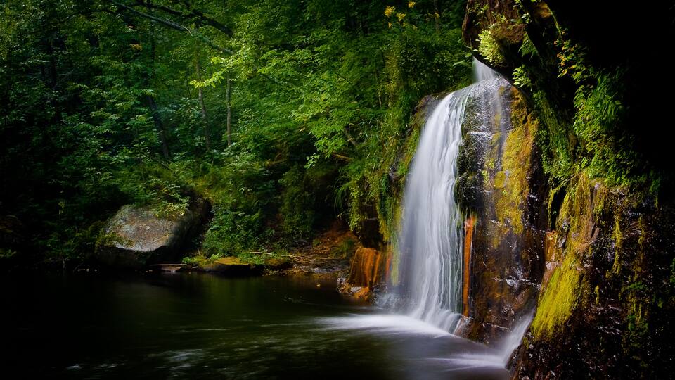 A waterfall cascading over moss-covered rocks in a dense forest.