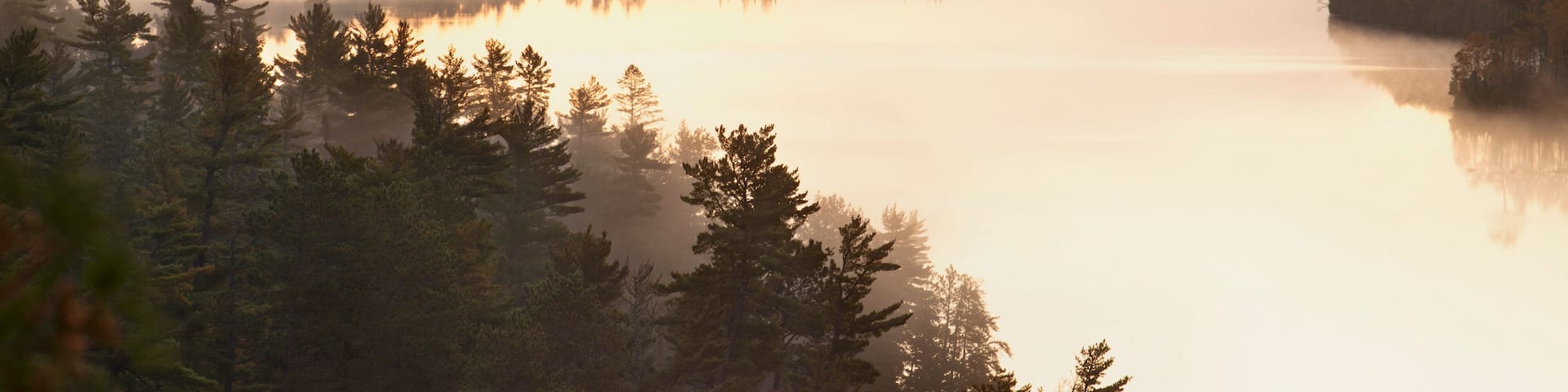 Islands with pines and fog in morning on Boundary Waters lake