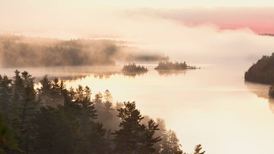 A misty lake surrounded by dense forests at sunrise.