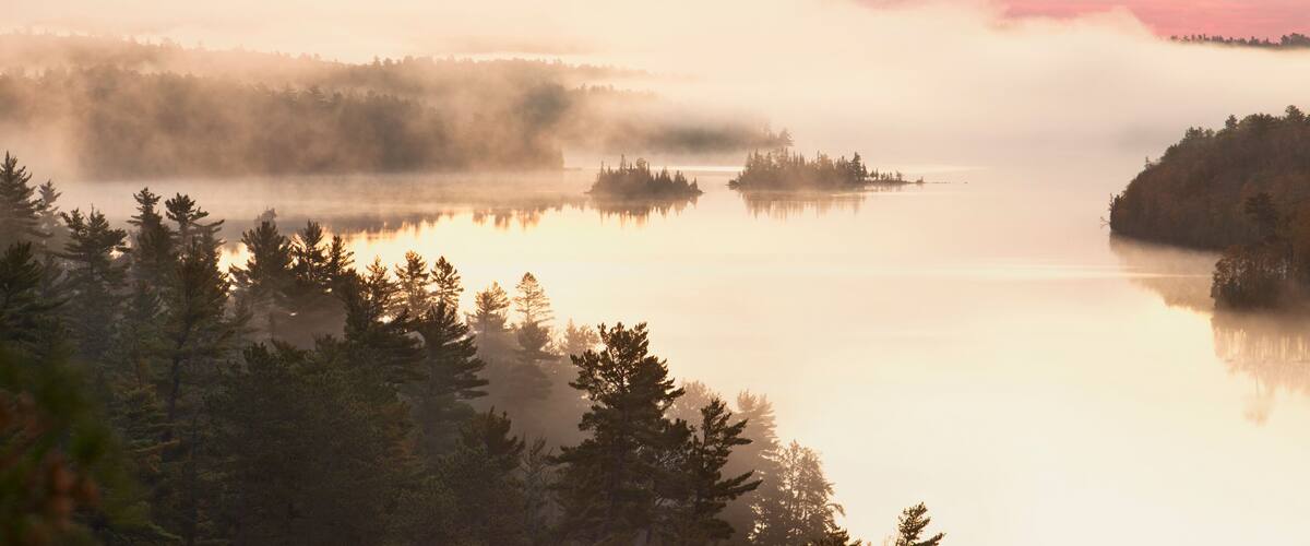 A misty lake surrounded by dense forests at sunrise.