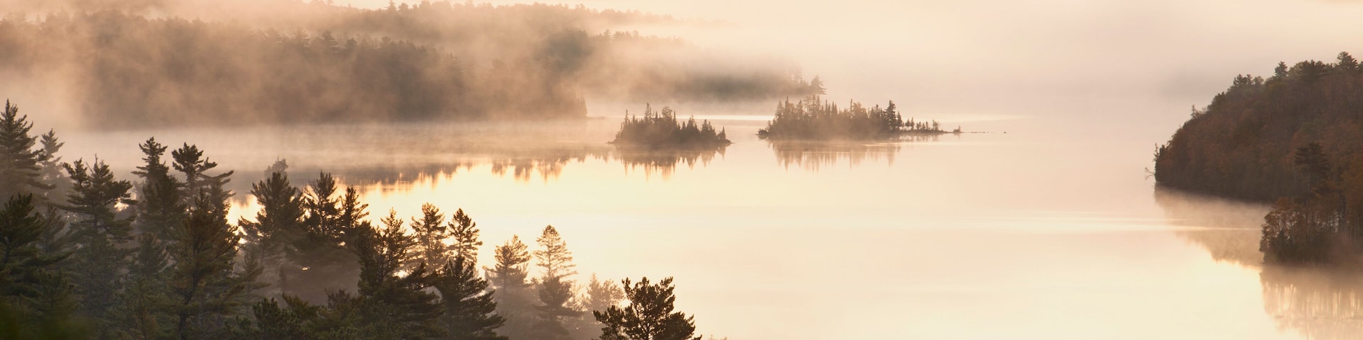 A misty lake surrounded by dense forests at sunrise.