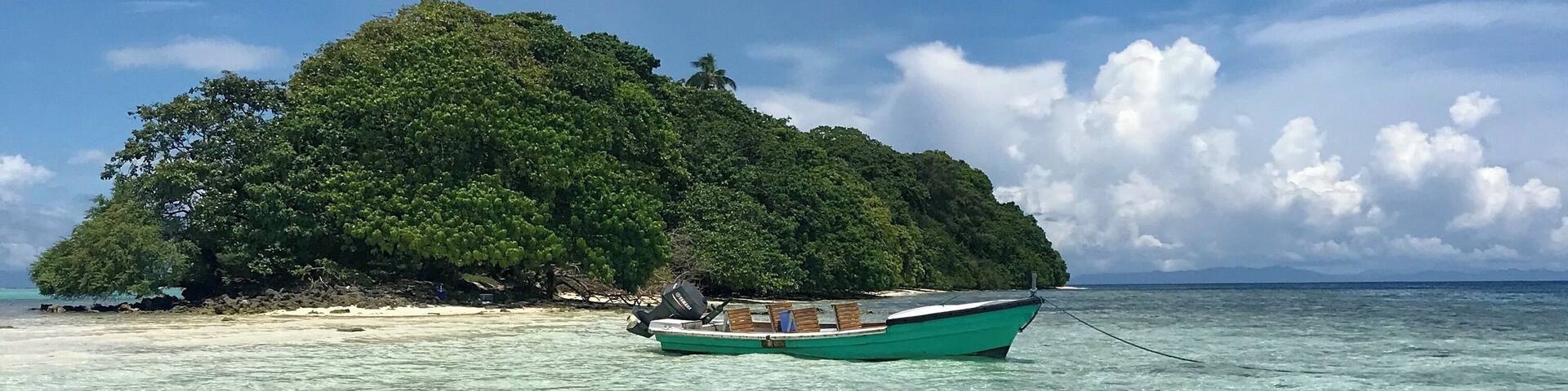 The water is crystal clear, warm and full of amazing critters. Dive Gizo are the team to get underwater with. #Trovember