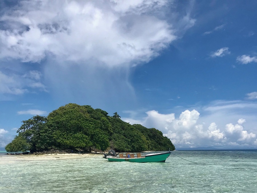 The water is crystal clear, warm and full of amazing critters. Dive Gizo are the team to get underwater with. #Trovember