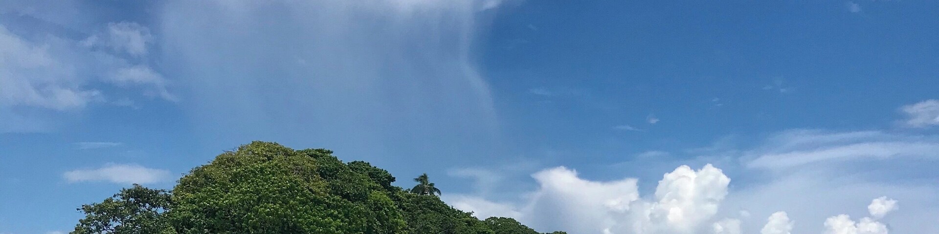 The water is crystal clear, warm and full of amazing critters. Dive Gizo are the team to get underwater with. #Trovember