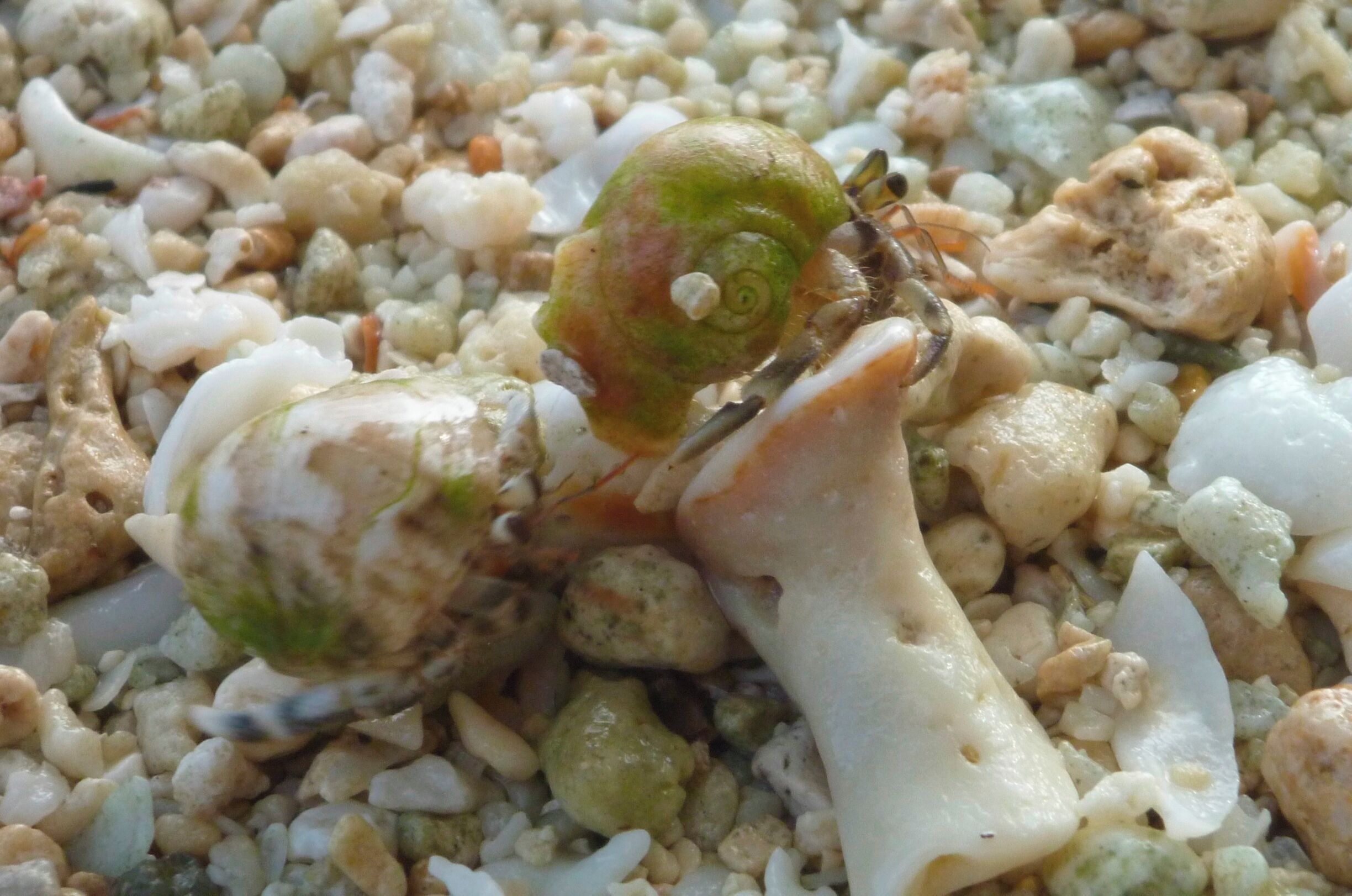 This beach moves #beach