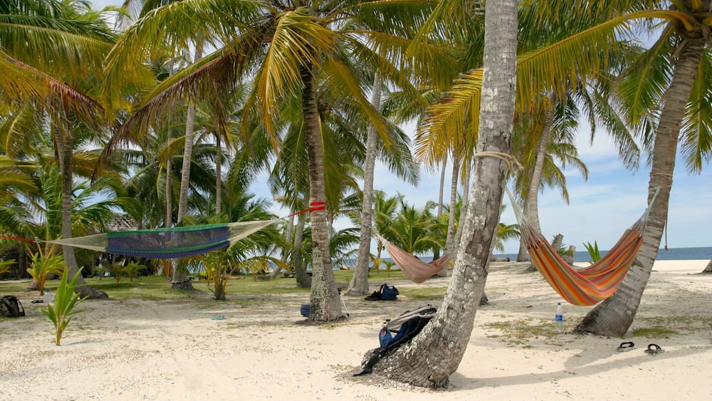 Panama showing a sandy beach, landscape views and tropical scenes