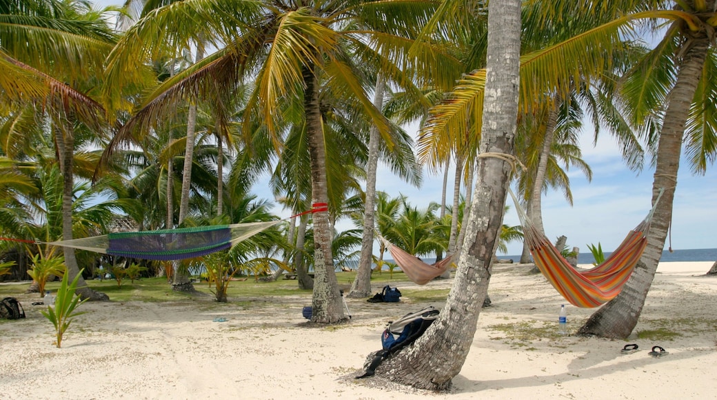 Panama featuring landscape views, a sandy beach and tropical scenes