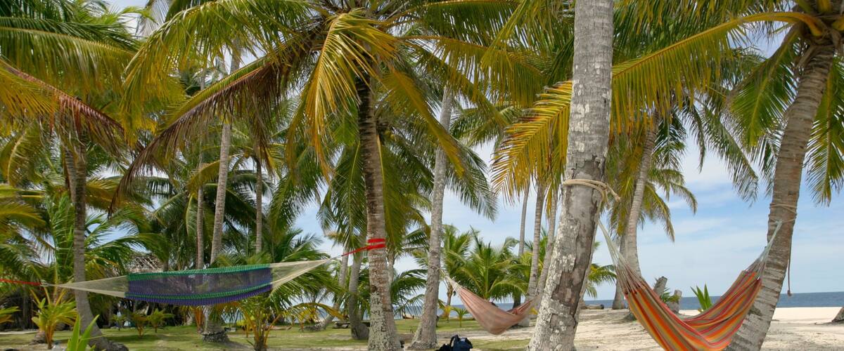 Panama showing a sandy beach, landscape views and tropical scenes