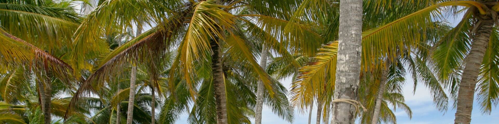Panama qui includes panoramas, plage et scĂšnes tropicales
