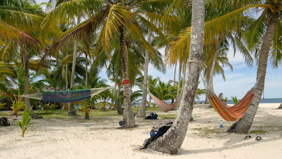 Panama showing a sandy beach, landscape views and tropical scenes