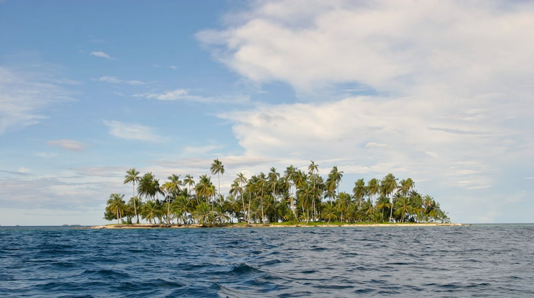 Panamá mostrando paisagem, paisagens da ilha e cenas tropicais