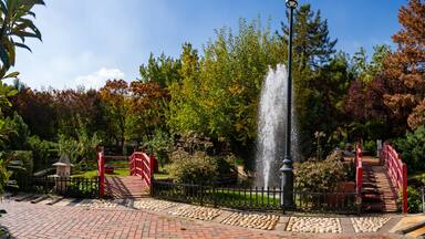 Panoramic view of the park in Gaziantep Botanical Garden.