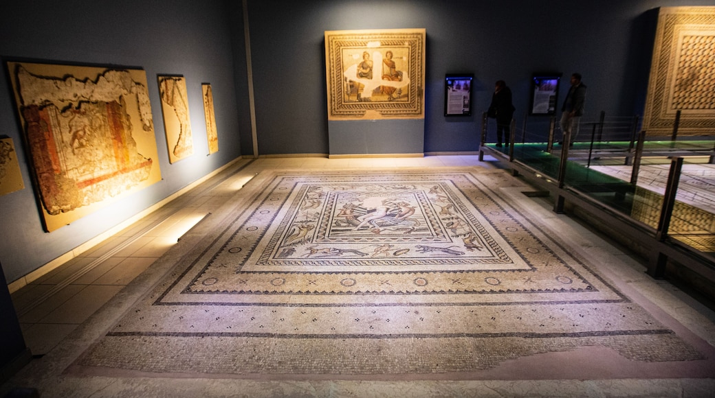 An image from the Zeugma mosaics found in Gaziantep province in Turkey.