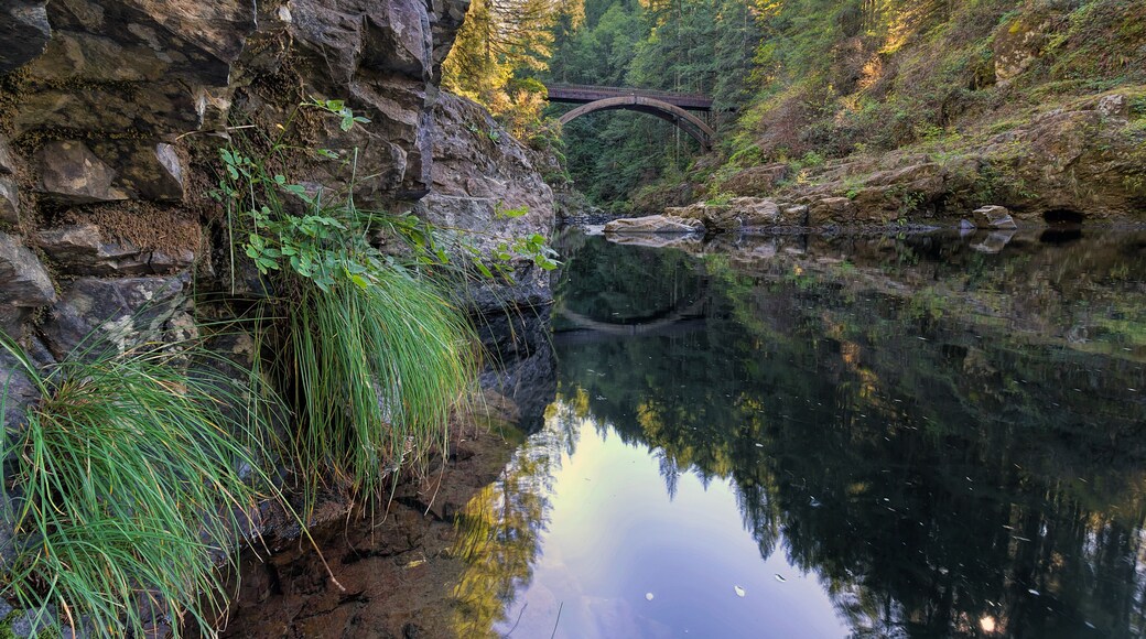 Arch Bridge at Moulton Falls Park Over Lewis River