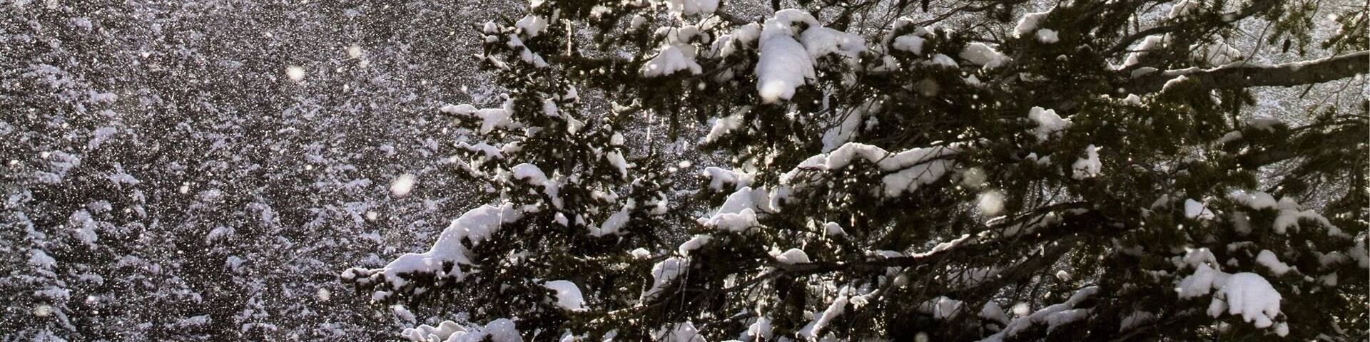 American Fork Canyom is amazing for capturing Utah Valley's winters in a single picture.