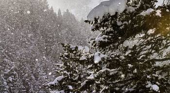 American Fork Canyom is amazing for capturing Utah Valley's winters in a single picture.