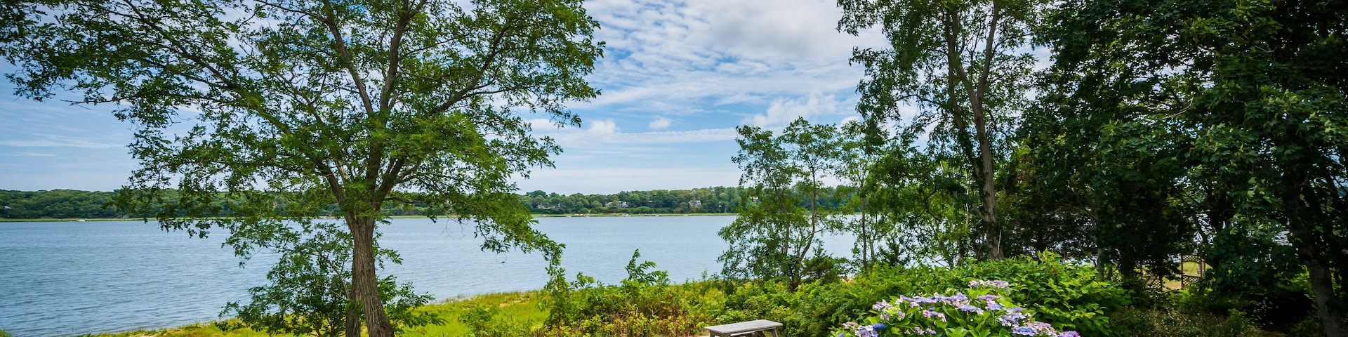 Un jardin au bord du lac, avec un banc en bois, un sentier de pierres et des fleurs violettes.