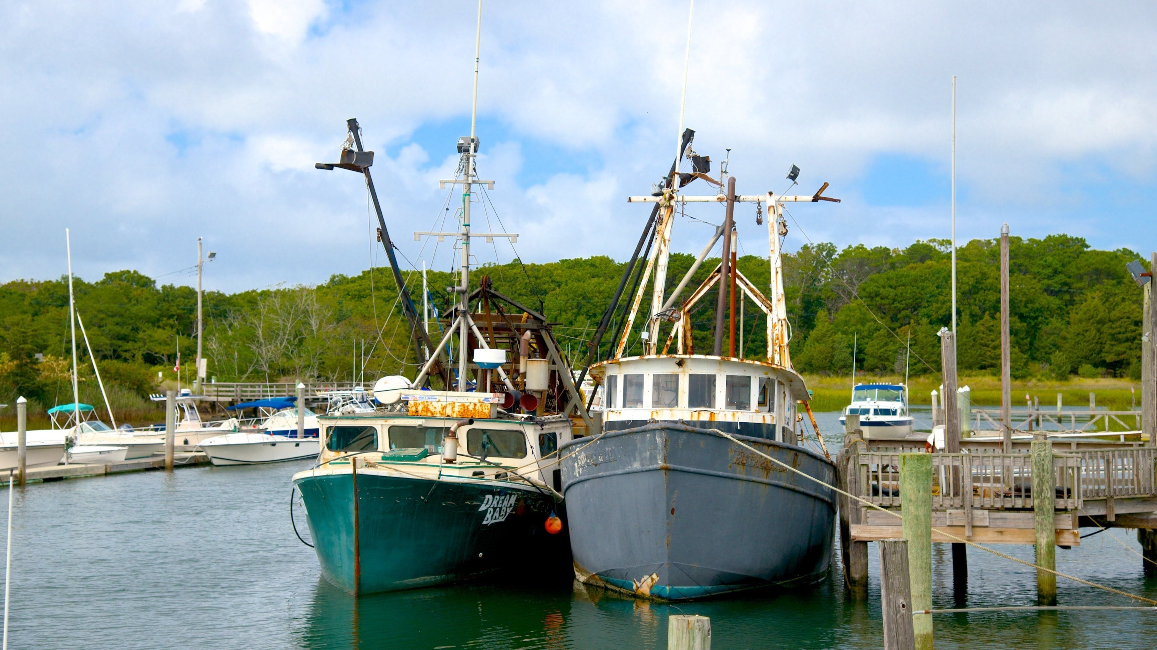올리언스 을 특징  마리나