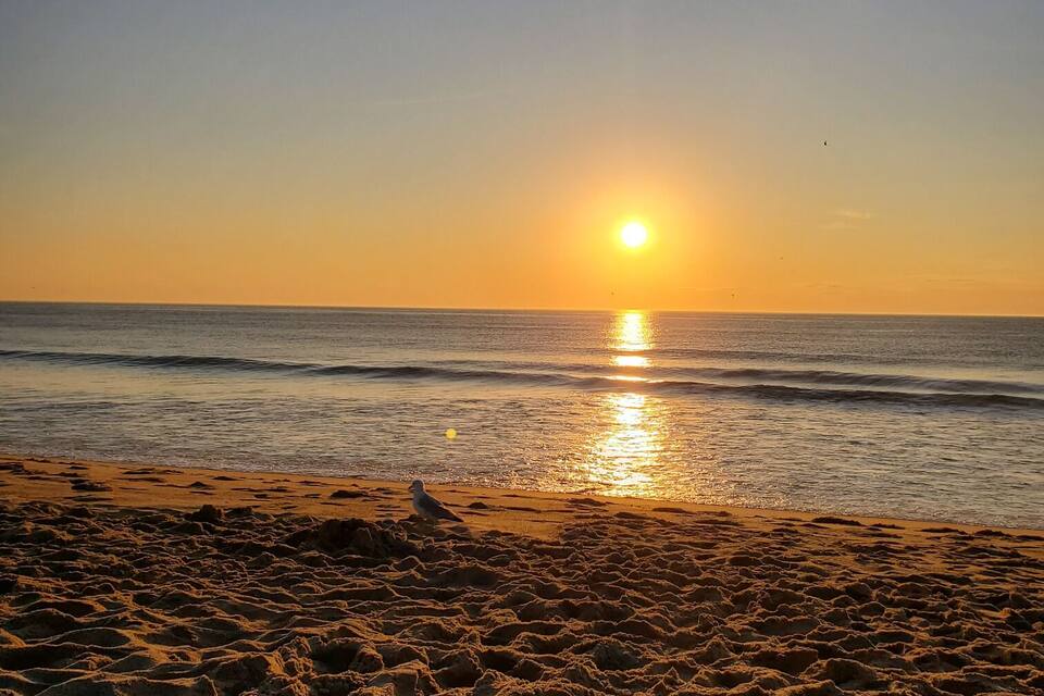 A beach at sunset with the sun reflecting on the water.