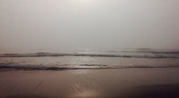 If you don't act like a seal, you can still swim at this iconic big-wave beach and avoid the great whites. #beaches