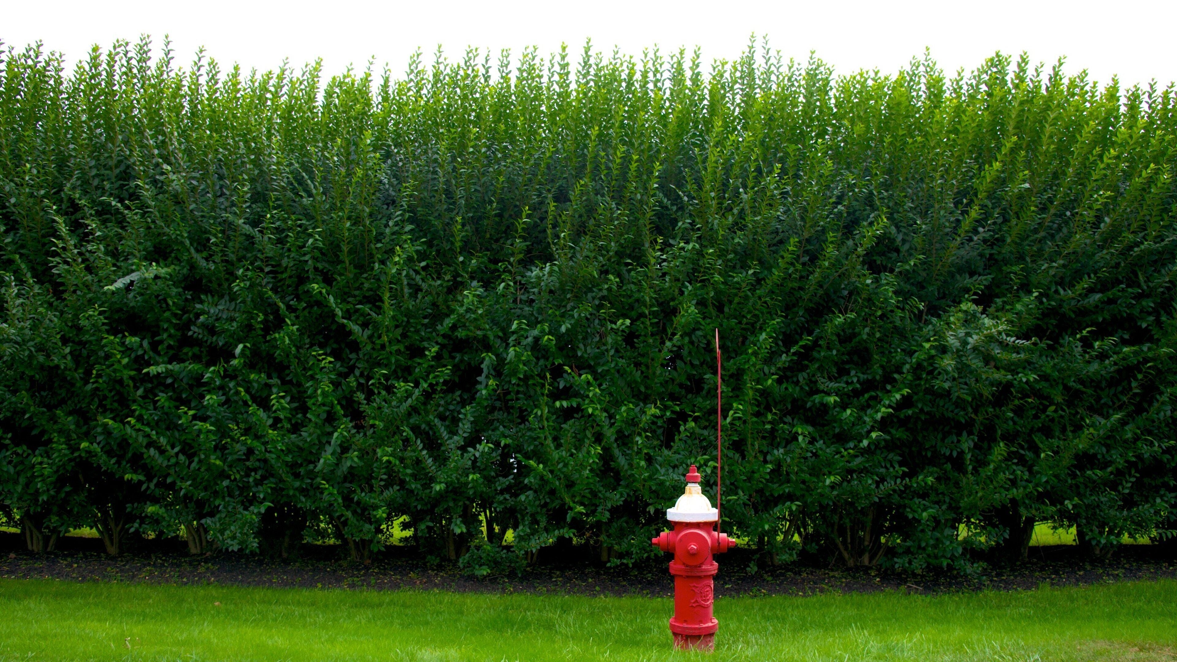 Orleans featuring a park