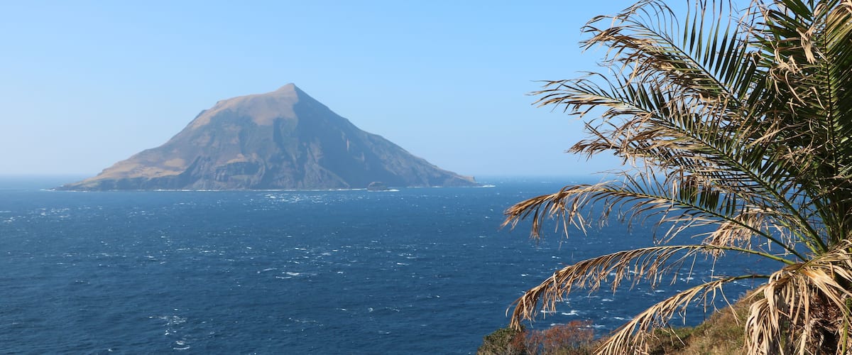 Un paysage côtier avec une montagne imposante et un palmier.