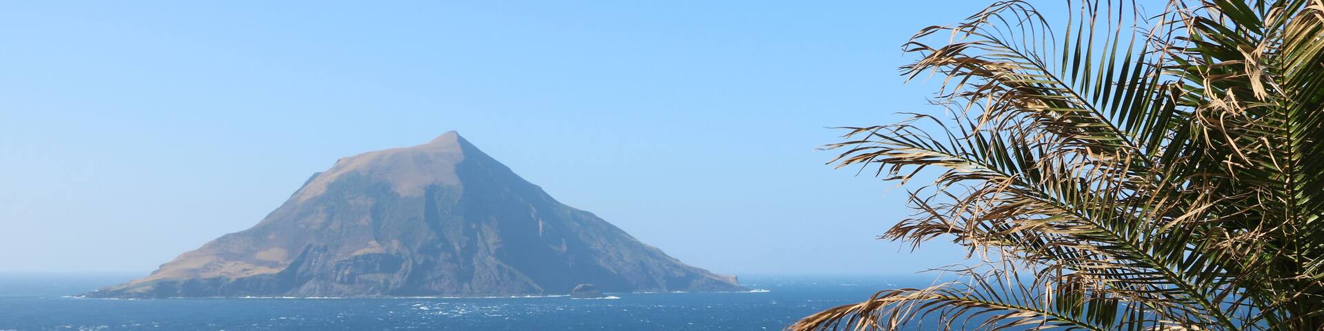 A coastal landscape with a prominent mountain and a palm tree.