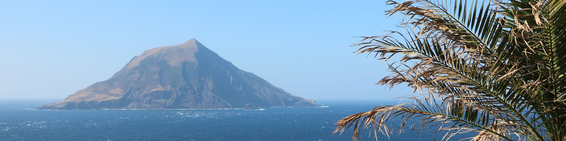 Un paisaje costero con una montaña destacada y una palmera.